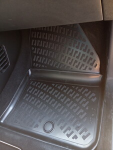 Citroen C3 Elektrikli 2024 Sonrası Paspas #2