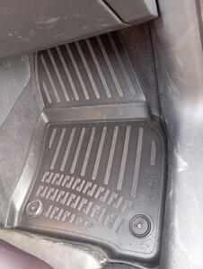 Cupra Terramar 2023 Sonrası Havuzlu Paspas #2